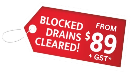 Efficient blocked drain services in Bellevue Hill starting at $89 + GST