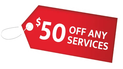 Save $50 on plumbing services for blocked drains in Bellevue Hill for a limited time