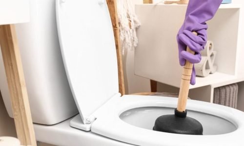 Blocked toilet problems in Bellevue Hill resolved promptly by skilled plumbers